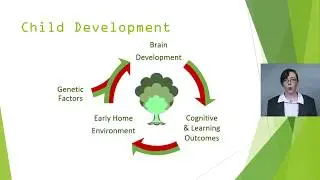 Healthy Brain Development Study