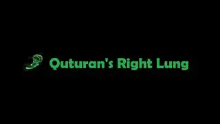 Black Desert Online - Quturan's Right Lung