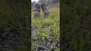 Oxelo mf500 hb #skating #shortfeed #music #shortvideo #song