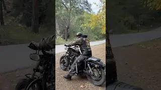 Pure sound of sporty #harleydavidson #sportster48