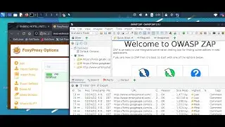 How to install Owsap-Zap CA certifation on firefox #owsap-zap