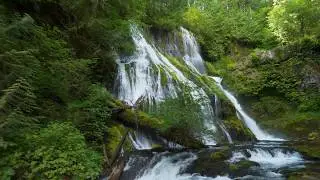 Lush Waterfall Free Stock Footage