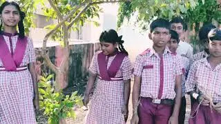 Определение частей растения учениками 6-го класса @Science innovators