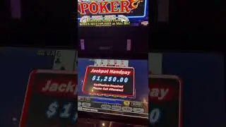DEALT HANDPAY!! ULTIMATE X DOUBLE DOUBLE BONUS!! 🤑🤑 #jackpot #videopoker #highlimit #lasvegas #ad
