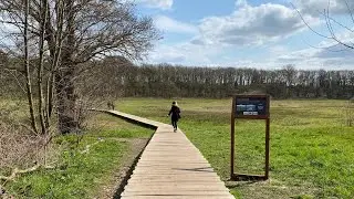 A walk in The Veluwe