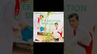 Tree plantation Drive 2024 🌳🌲🌴 #hira #standard #school #shortsfeed #shortsviral #helpinghands