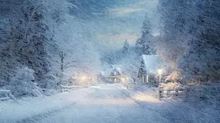 Blizzard Winter Storm Sounds for Deep Sleep | Relaxing Snow Ambience to Clear Your Mind