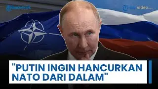 Putin Ingin Hancurkan NATO dari Dalam, Menhan Jerman: Tak Berniat Lancarkan Perang Dunia Skala Penuh