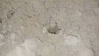 مغامره خطره بالليل بالليل لقينا خنزير تابعوا تابعوا فيديو😧😯😳