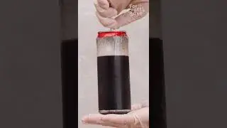 Home Science You Need to Try