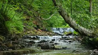 Relaxing Nature Sounds - Bird Sounds - Waterfall Sounds - For Relax, Sleep - Khashchuvaty Waterfall