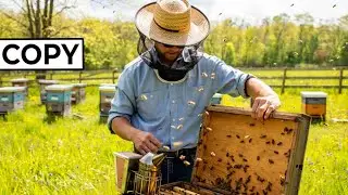 Do You Have a Beehive? Five Sacred Steps to Caring for Bees with a Peaceful Heart