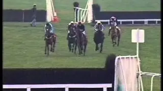 1991 Henry VIII Novices' Chase