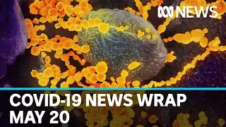 Coronavirus update: The latest COVID-19 news for Wednesday May 20 | ABC News