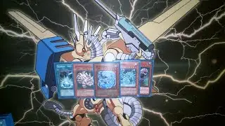 Water Dragon Deck Profile January 2023