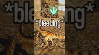 Secret Carno Buff?! :O