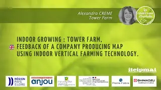 26 Tower Farm, feedback of a company producing MAP using indoor vertical farming technology.