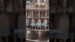 Rinser Piston Pulp Filler and Juice Filler Capper Machine