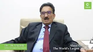 characteristics of the world&rsquo;s largest mandi, Ganaur
