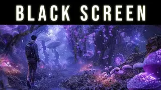 Experience Lucid Awareness In Your Dreams | Black Screen Hypnosis Music To Enter REM Dreaming State