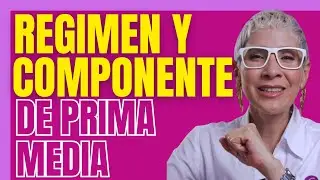 REGIMEN Y COMPONENTE DE PRIMA MEDIA  - Estufuturo Abogados