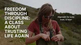 Freedom Through Discipline: An Alignment Class About Trusting Life Again
