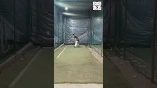 POWER Hitting Basics For Cricket Batting Success #cricket