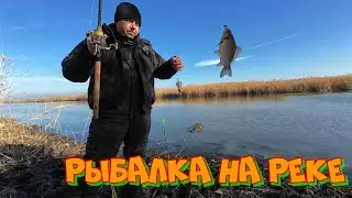 Закрыли воду, вся рыба в русле  Рыбалка на реке в ноябре.
