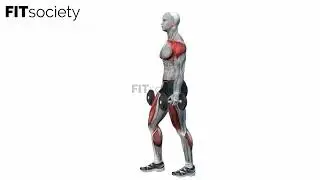 Dumbbell Farmer Walks - Exercise - Fitness Oefening - Fitsociety