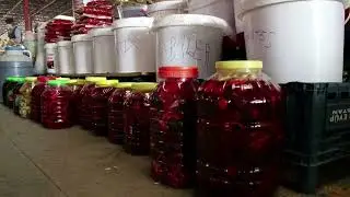 ELBİSTAN TÜRKÜLERİ - BİR DURNA UÇURDUM KLİP