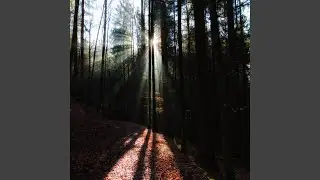 Endless Trail