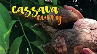 SRI LANKAN CASSAVA CURRY WITH COCONUT MILK RECIPE