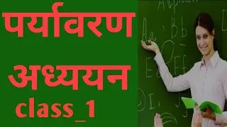Evs preparation //#ctetexam #supertet #all teaching exam