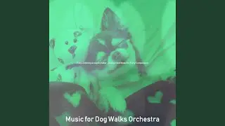 Easy Listening Acoustic Guitar Soundtrack for Dog Walking