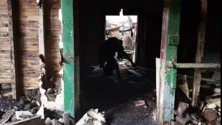 Demon Dog 3