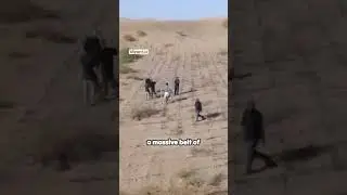 The Great Green Wall An Ambitious Eco Project