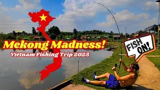 FISHING IN VIETNAM | MEKONG CATFISH FRENZY