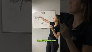 Conhe&ccedil;a o ciclo de vida do Mosquito da Dengue! #mosquito #dengue #controledepragas