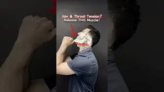 Jaw & Throat Tension? Release THIS Muscle! #tmj #tmd #tmjdisorder #jawpain #neck #headaches