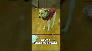 Aloka wanted to take a moment to send a special greeting to everyone following our journey.