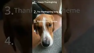 Best Thanksgiving Songs