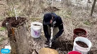 Virtual Tree Planting with Friends of the Rouge Watershed