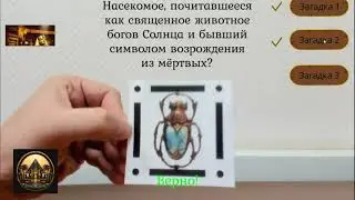 1 место в номинации 