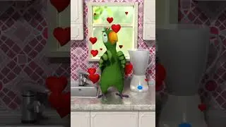 Talking Pierre the Parrot 