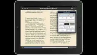 Dizzy and Confused: Unpacking Digital Publishing (2013)