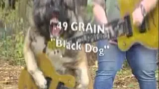 .49 Grain - 
