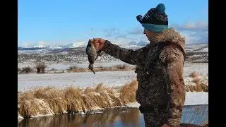 Duck Hunting Eastern Oregon with Van Patten Outdoors