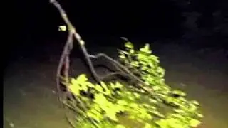 Orville golf course damage
