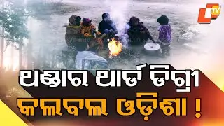 Cold Wave Intensifies Across Odisha; Similipal Records Sub-Zero Temperatures