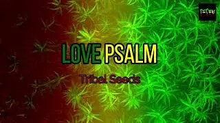 Love Psalm - Tribal Seeds (Karaoke Version) HD